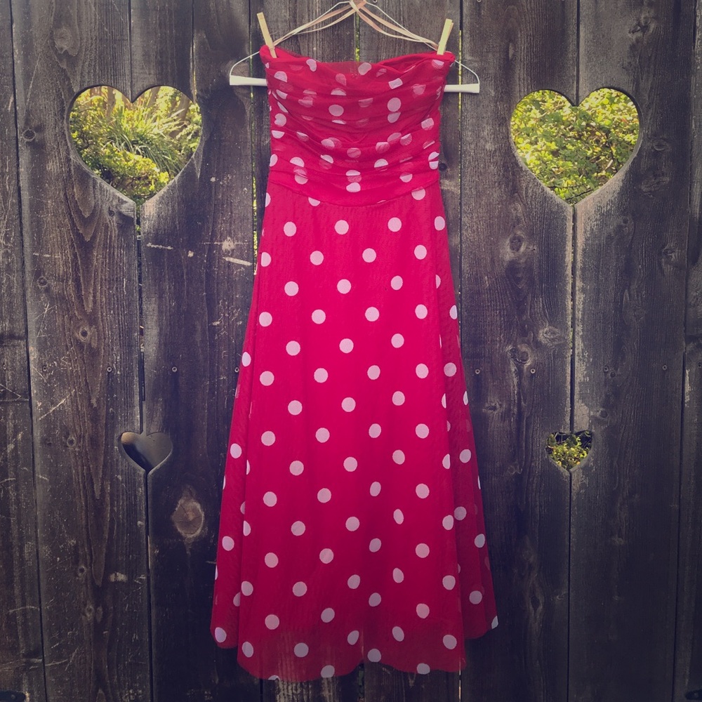 BCBG Vintage Style Red Tulle Dress